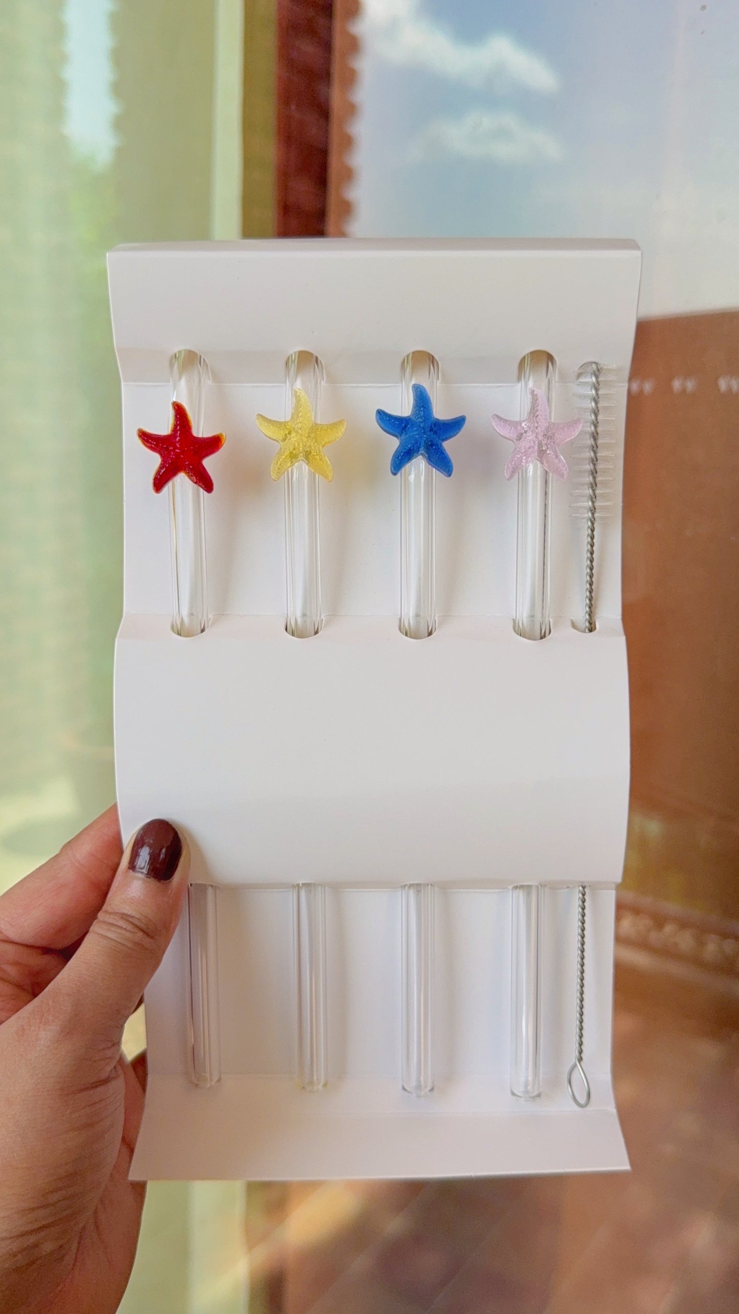 Set of Four Star Fish Straws and Brush